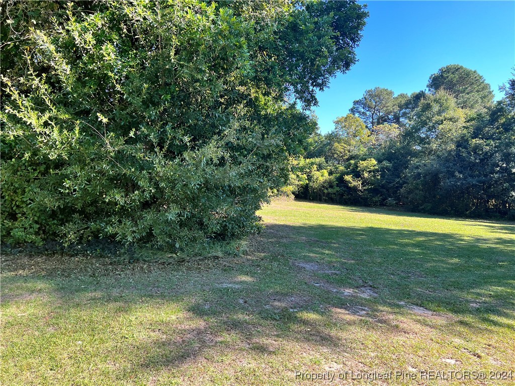 122 North 1st Street Spring Lake, NC 28390 - Photo 4 of 4 a view of a swimming pool and a yard