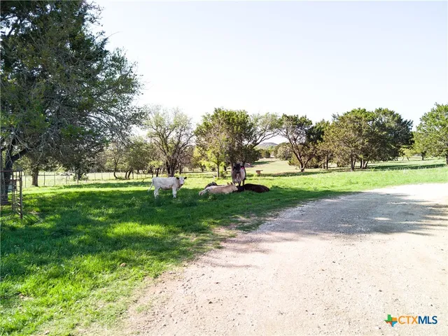 $737,000 | 690 A County Road 4707, Kempner, TX 76539