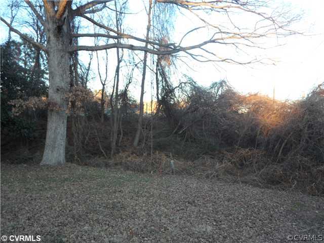 7600 Hull Street Road North Chesterfield, VA 23235 - Photo 11 of 14 Yard/Garden