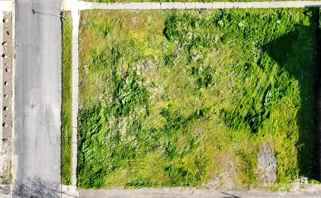 a view of a garden from a window