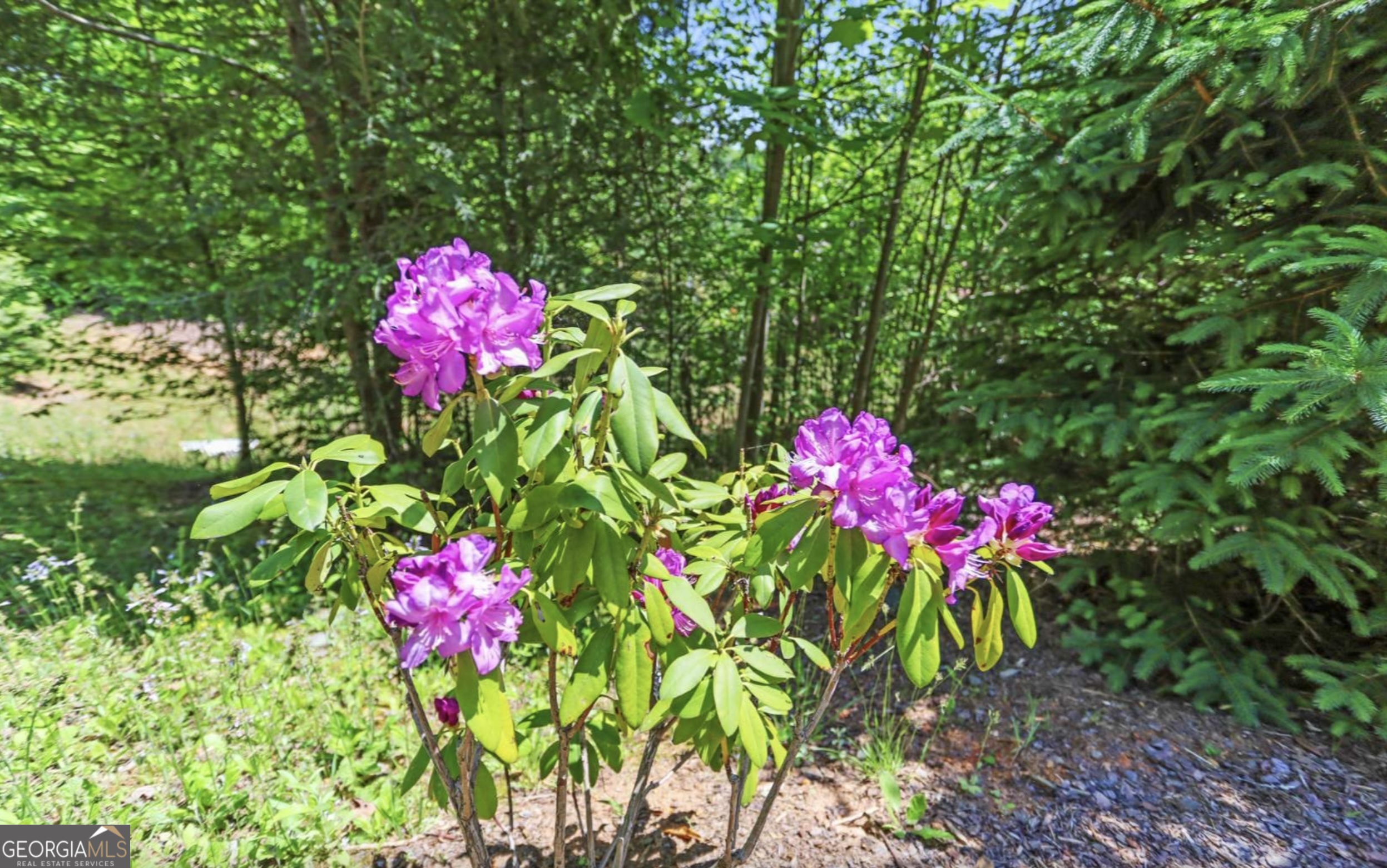 Lot 11 Haven Way Blue Ridge, GA 30513 - Photo 13 of 36