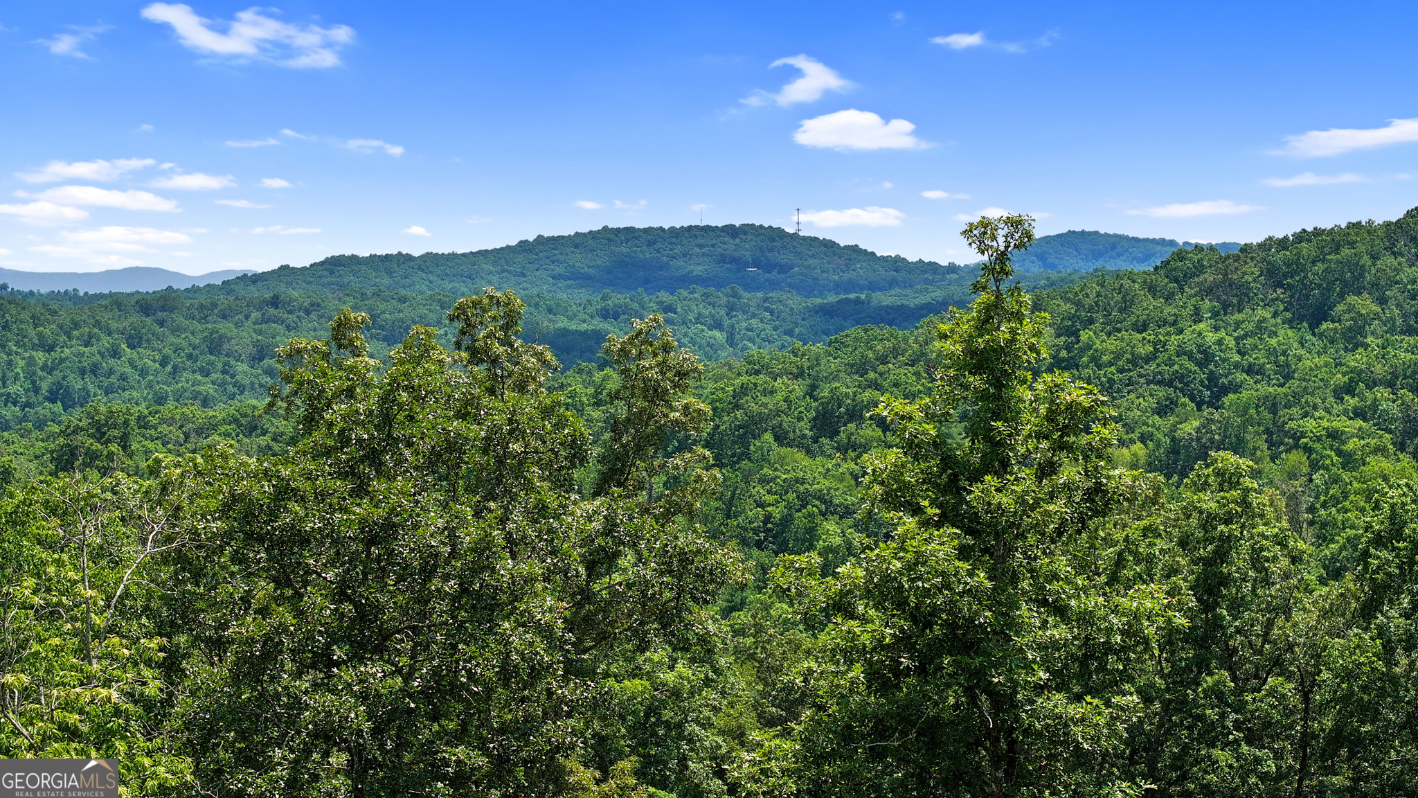 Lot 11 Haven Way Blue Ridge, GA 30513 - Photo 4 of 36