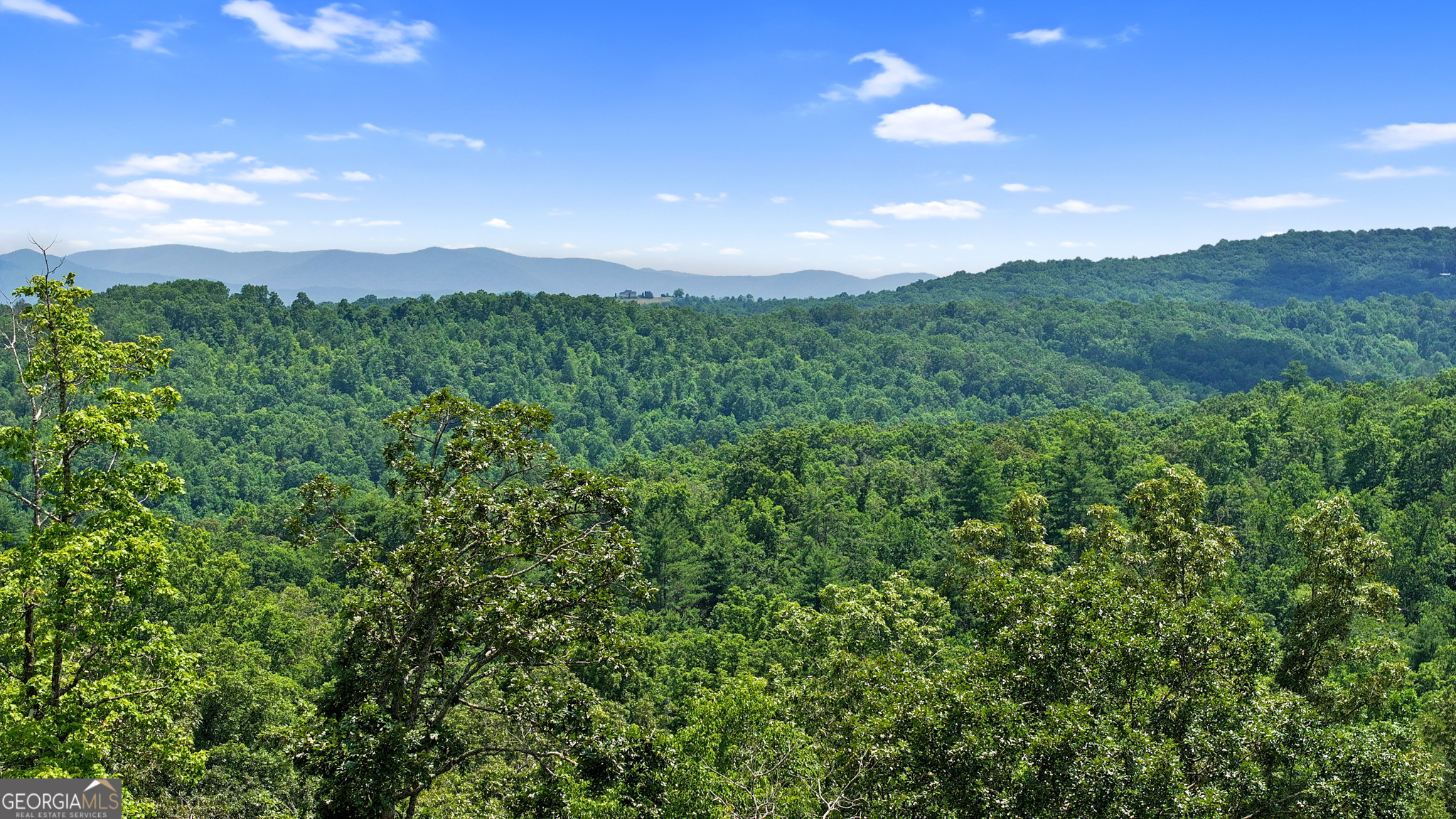 Lot 11 Haven Way Blue Ridge, GA 30513 - Photo 5 of 36