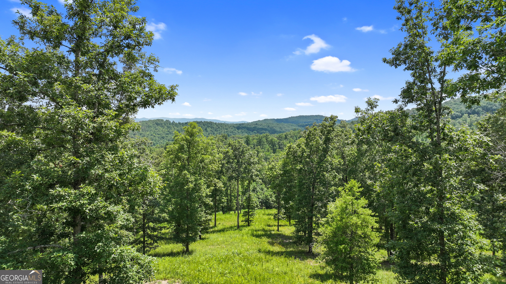 Lot 11 Haven Way Blue Ridge, GA 30513 - Photo 7 of 36