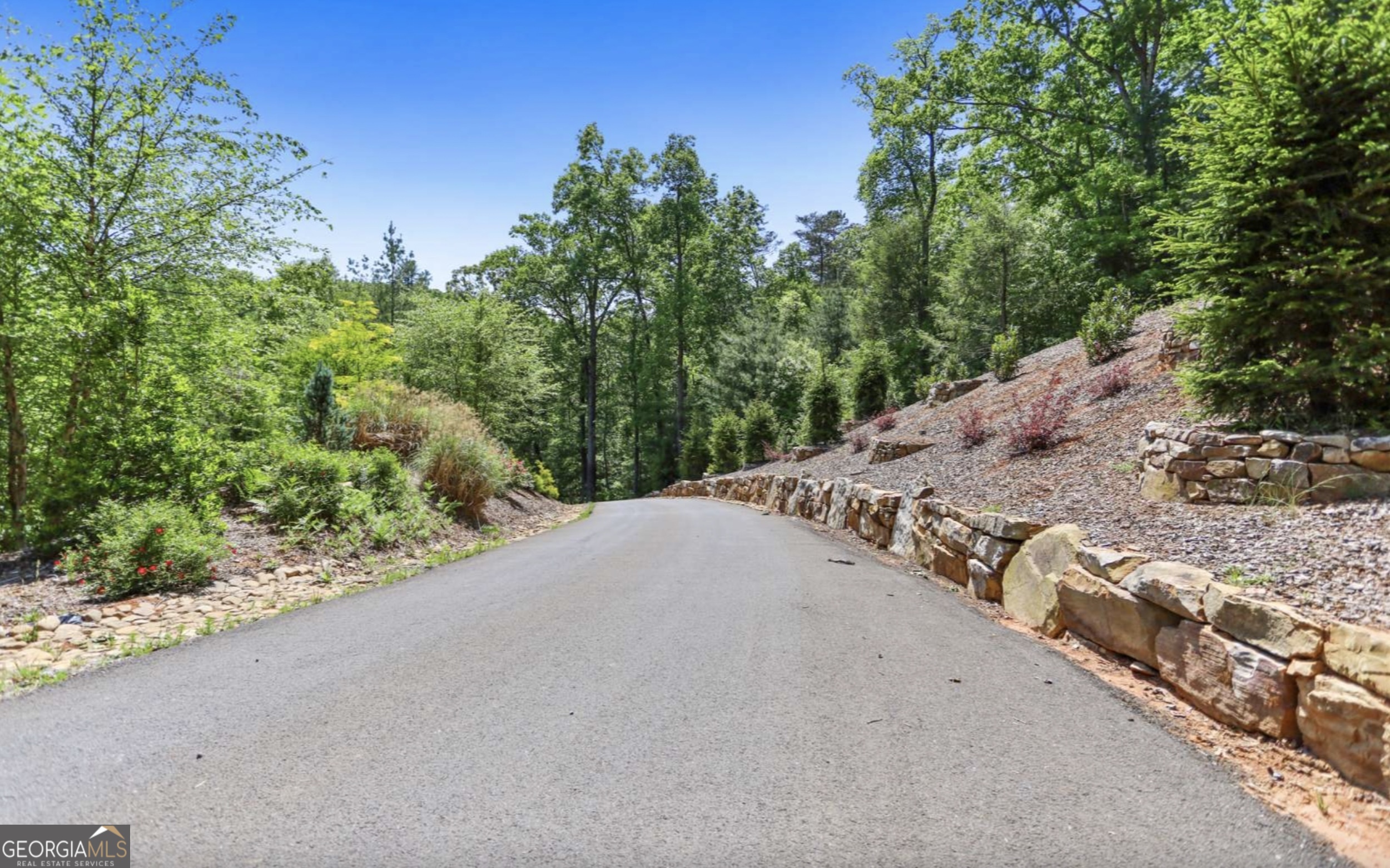 Lot 11 Haven Way Blue Ridge, GA 30513 - Photo 8 of 36