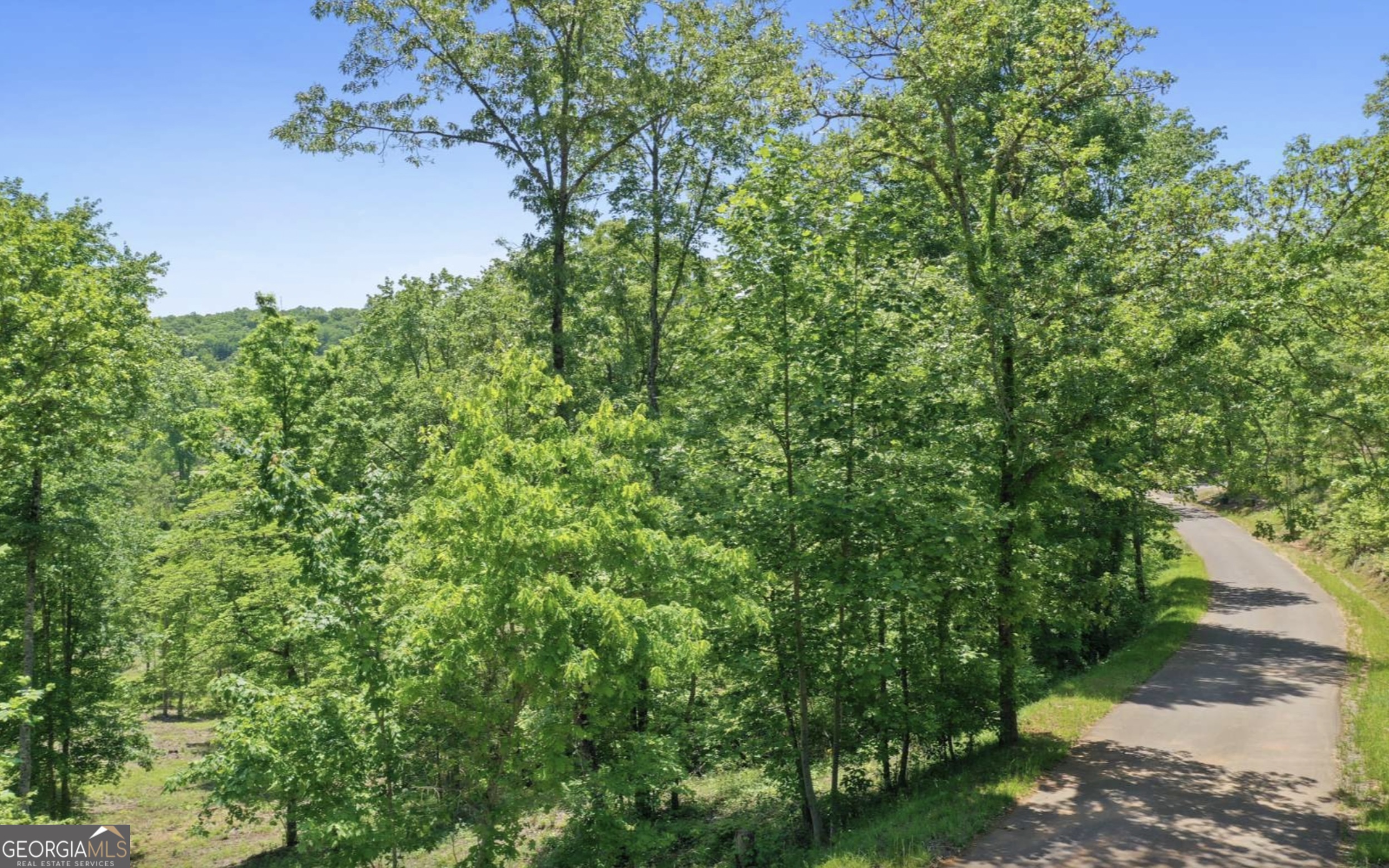 Lot 11 Haven Way Blue Ridge, GA 30513 - Photo 9 of 36