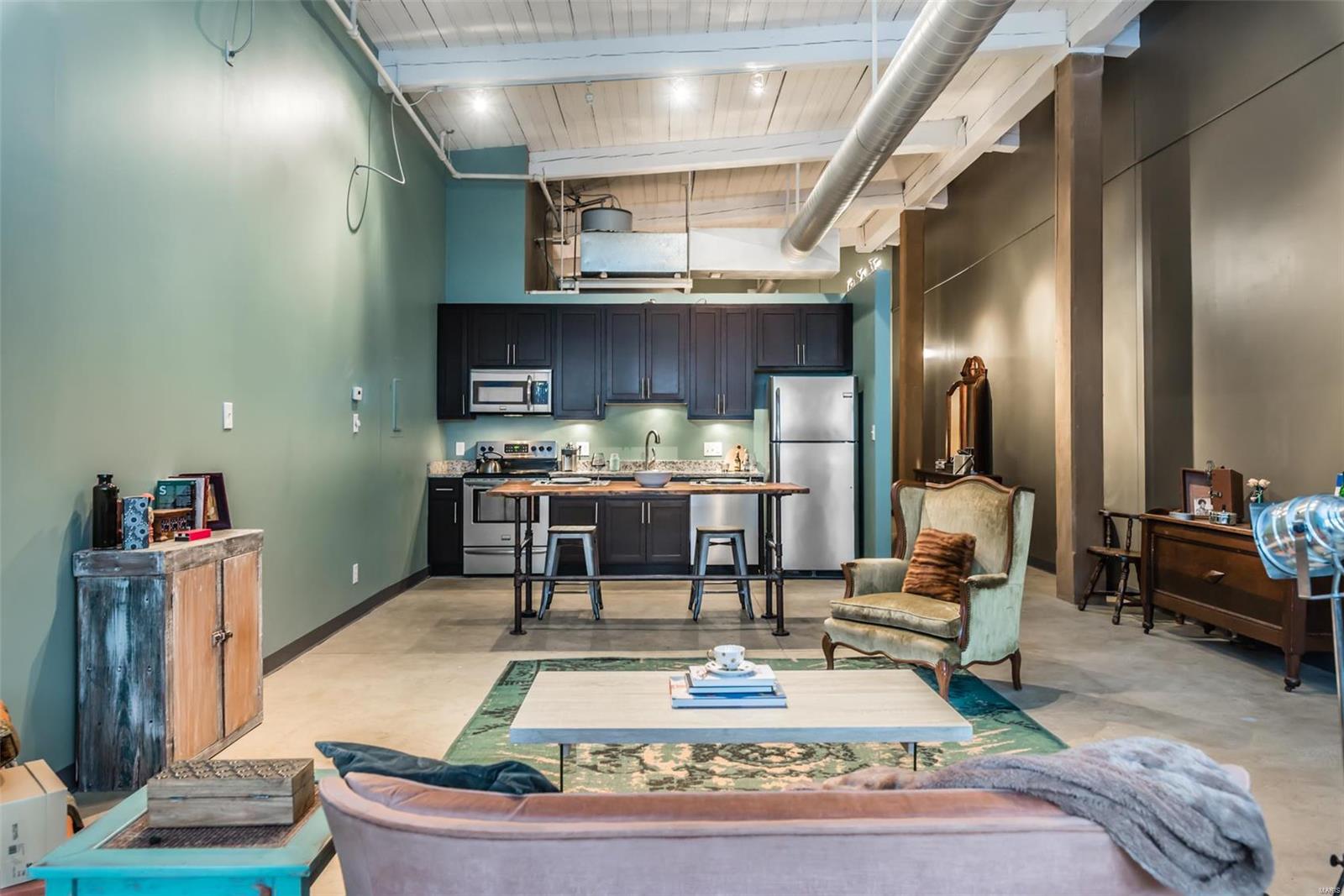 507 North 13th Street, Unit 706 St. Louis, MO 63103 - Photo 3 of 16