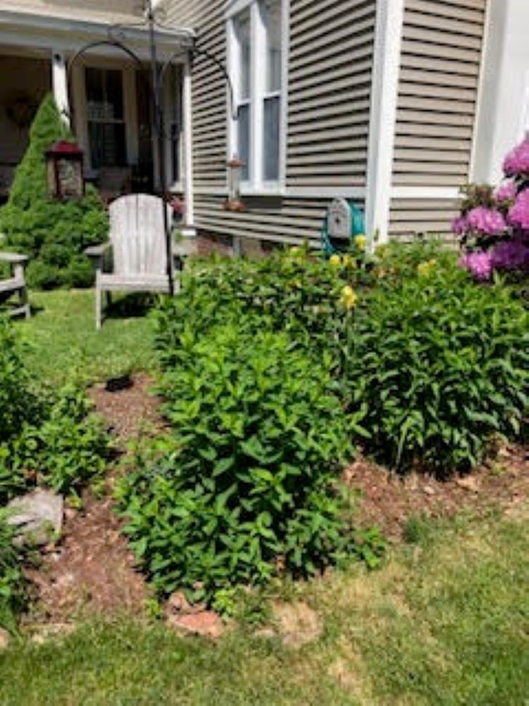 22 Page Street Keene, NH 03431 - Photo 11 of 14
