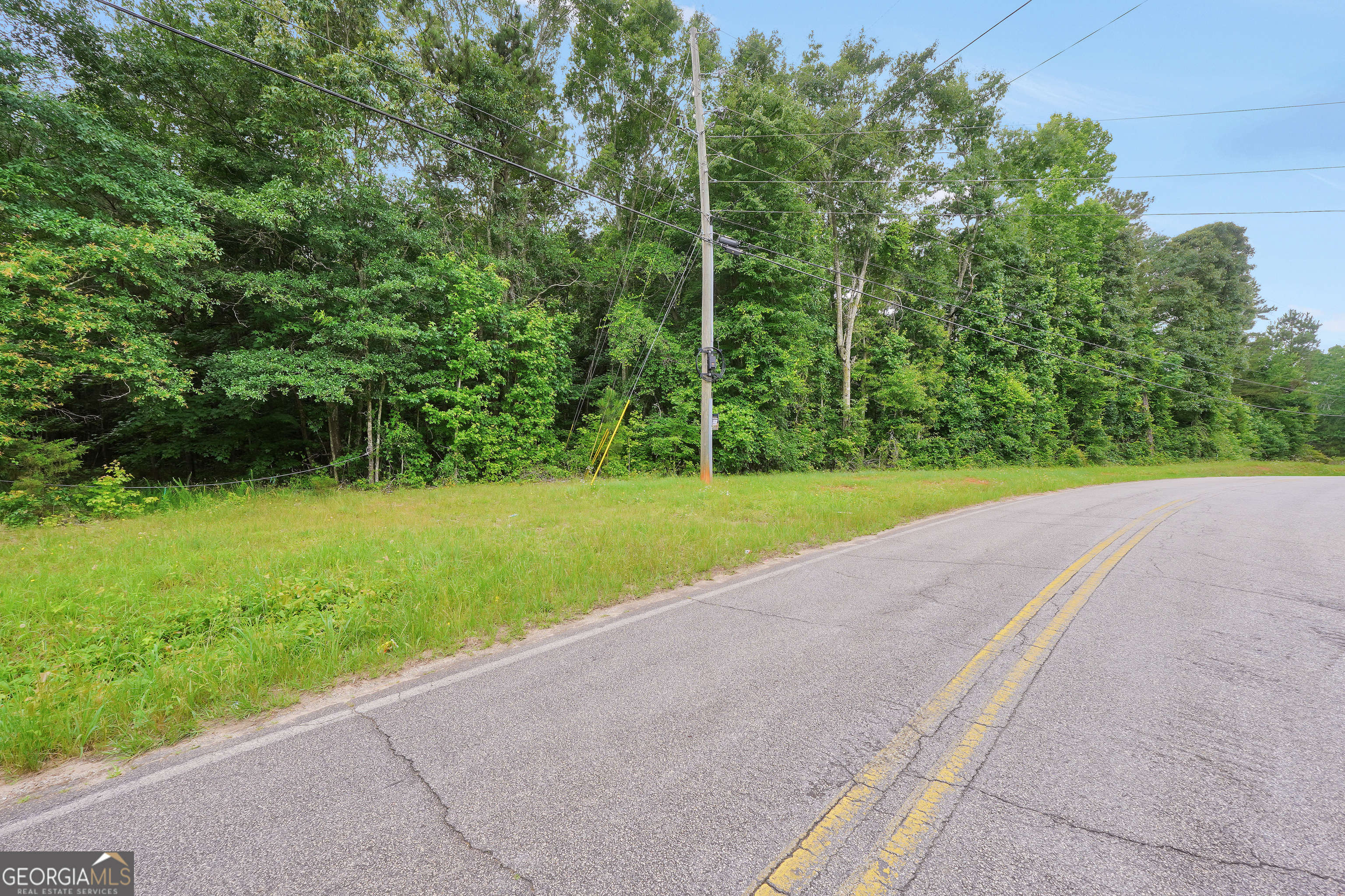 0 Cannafax Road Barnesville, GA 30204 - Photo 10 of 10