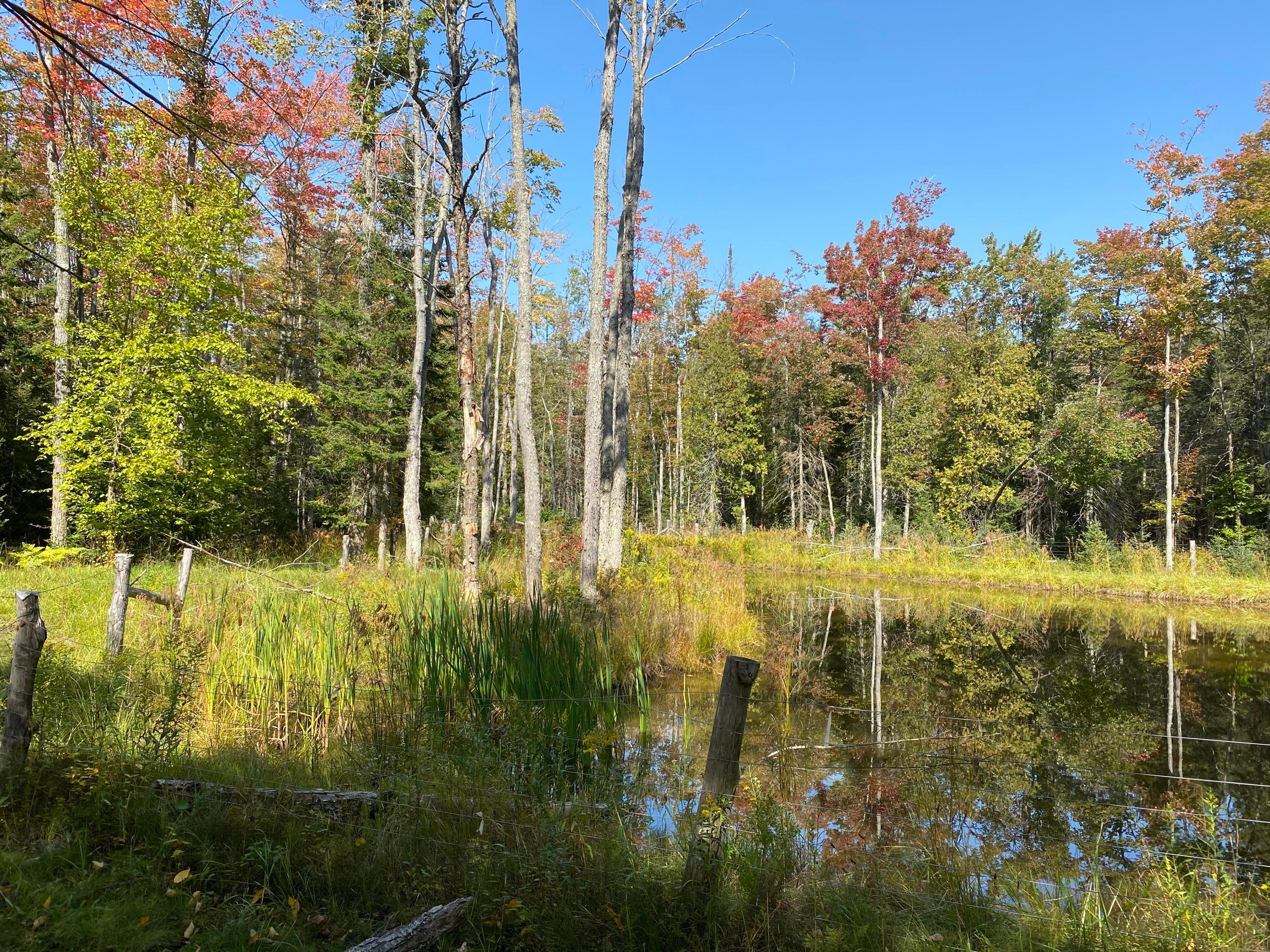 244 West 13 Mile Road Dafter, MI 49724 - Photo 9 of 28 Gallery Image 9