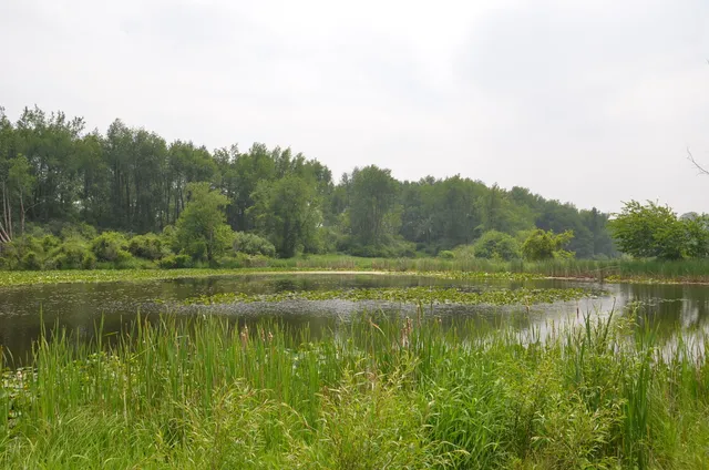 $675,000 | 4500 South 42nd Street, Climax, MI 49034