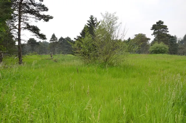 $675,000 | 4500 South 42nd Street, Climax, MI 49034