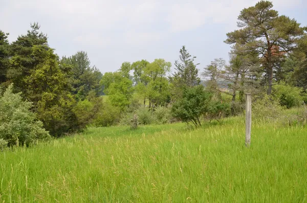 $675,000 | 4500 South 42nd Street, Climax, MI 49034