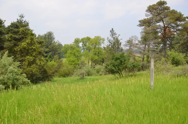 $675,000 | 4500 South 42nd Street, Climax, MI 49034