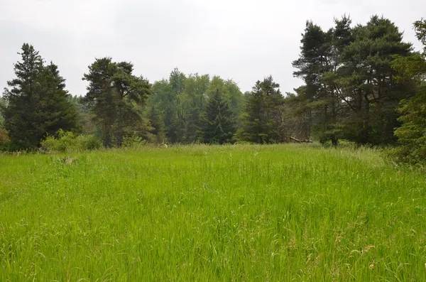 $675,000 | 4500 South 42nd Street, Climax, MI 49034