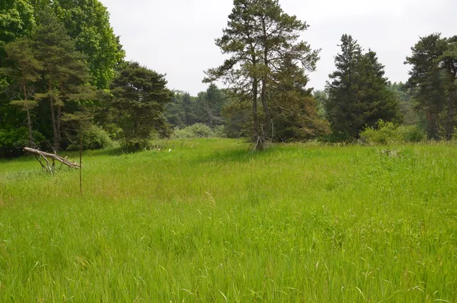 $675,000 | 4500 South 42nd Street, Climax, MI 49034