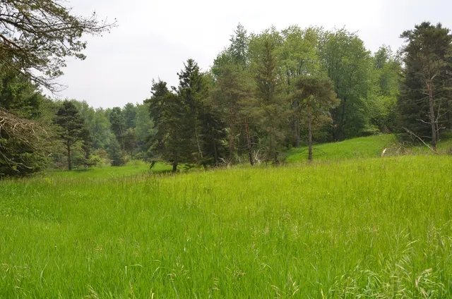 $675,000 | 4500 South 42nd Street, Climax, MI 49034