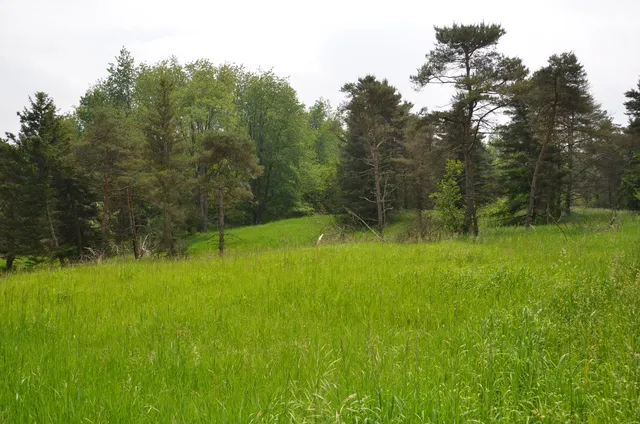 $675,000 | 4500 South 42nd Street, Climax, MI 49034