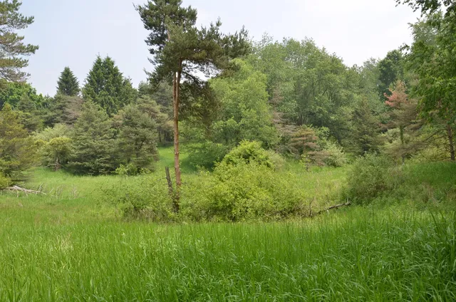 $675,000 | 4500 South 42nd Street, Climax, MI 49034