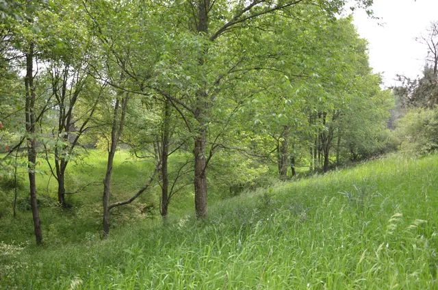 $675,000 | 4500 South 42nd Street, Climax, MI 49034