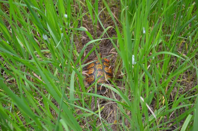 $675,000 | 4500 South 42nd Street, Climax, MI 49034