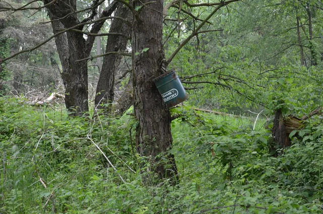 $675,000 | 4500 South 42nd Street, Climax, MI 49034