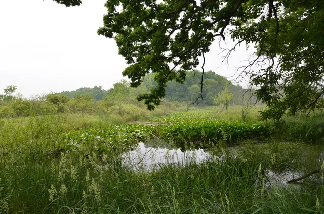 $675,000 | 4500 South 42nd Street, Climax, MI 49034