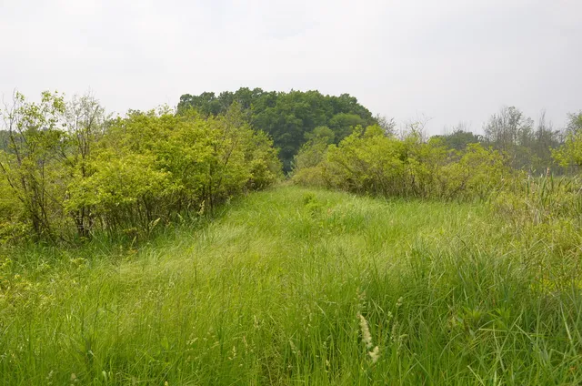 $675,000 | 4500 South 42nd Street, Climax, MI 49034