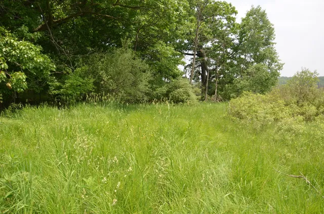 $675,000 | 4500 South 42nd Street, Climax, MI 49034