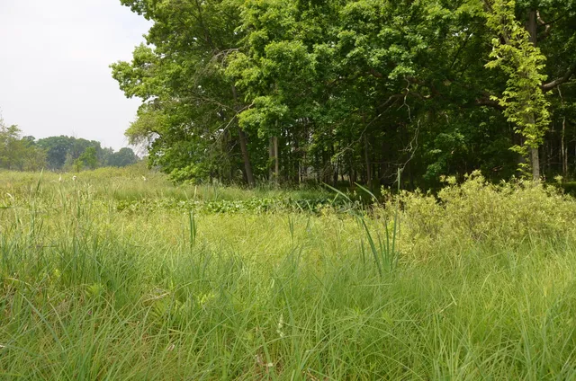 $675,000 | 4500 South 42nd Street, Climax, MI 49034