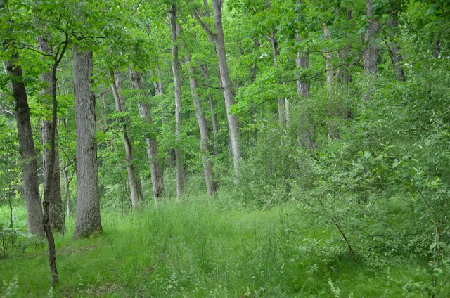 $675,000 | 4500 South 42nd Street, Climax, MI 49034