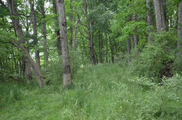 $675,000 | 4500 South 42nd Street, Climax, MI 49034