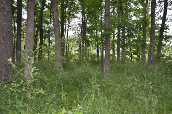 $675,000 | 4500 South 42nd Street, Climax, MI 49034