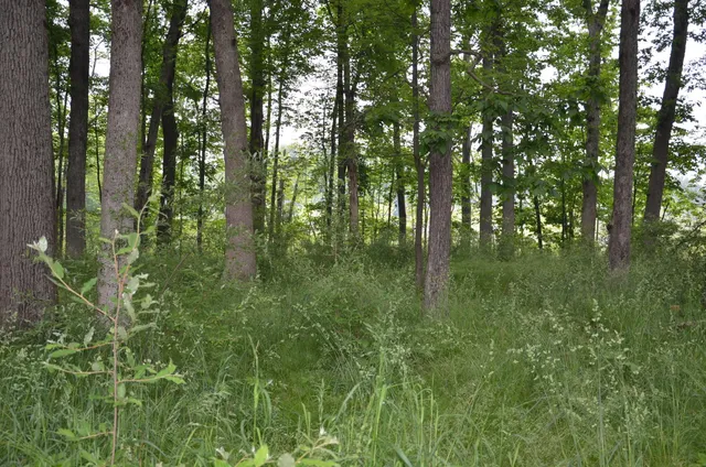 $675,000 | 4500 South 42nd Street, Climax, MI 49034