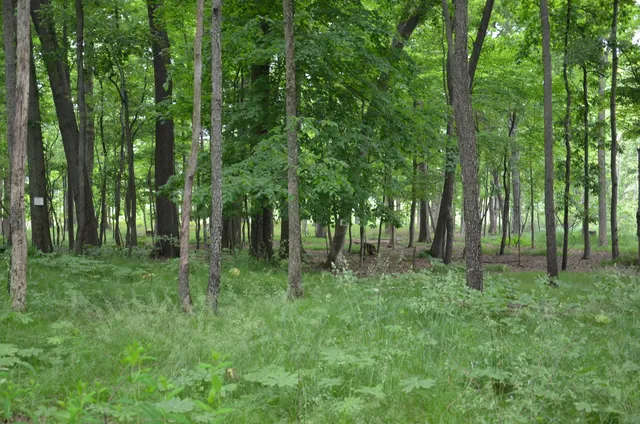 $675,000 | 4500 South 42nd Street, Climax, MI 49034