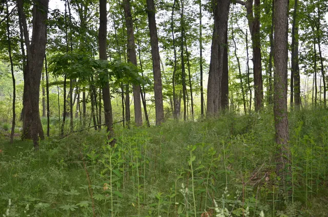 $675,000 | 4500 South 42nd Street, Climax, MI 49034