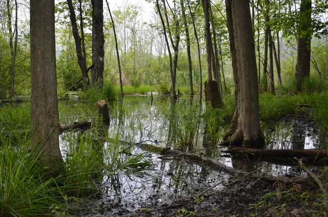 $675,000 | 4500 South 42nd Street, Climax, MI 49034