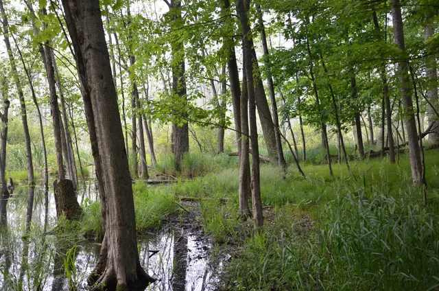 $675,000 | 4500 South 42nd Street, Climax, MI 49034