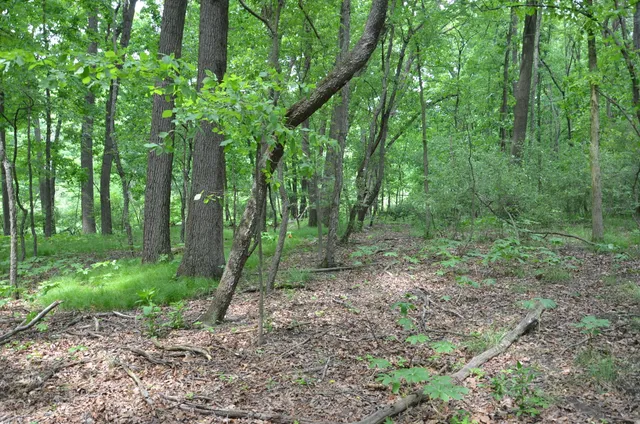 $675,000 | 4500 South 42nd Street, Climax, MI 49034