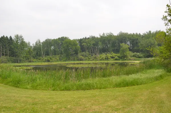 $675,000 | 4500 South 42nd Street, Climax, MI 49034