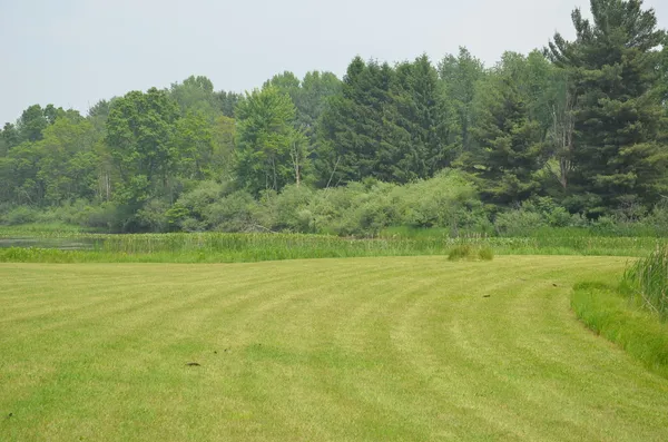 $675,000 | 4500 South 42nd Street, Climax, MI 49034