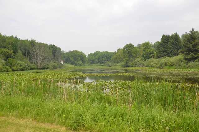 $675,000 | 4500 South 42nd Street, Climax, MI 49034