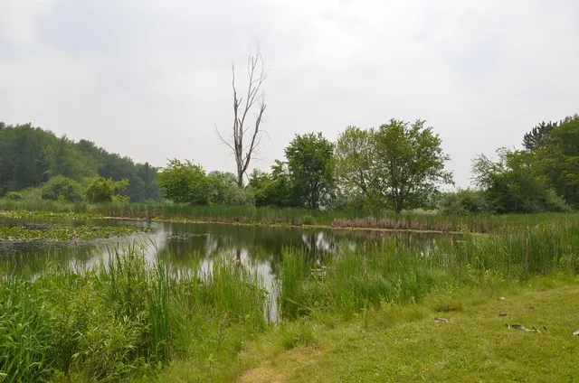 $675,000 | 4500 South 42nd Street, Climax, MI 49034