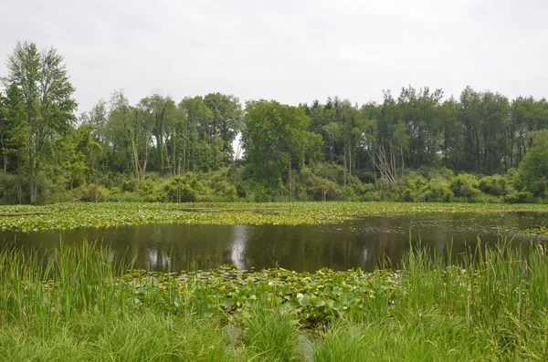 $675,000 | 4500 South 42nd Street, Climax, MI 49034