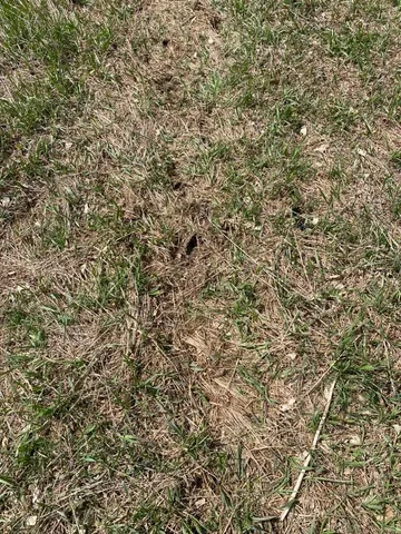 $675,000 | 4500 South 42nd Street, Climax, MI 49034