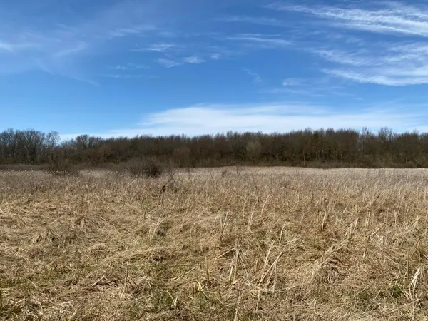 $675,000 | 4500 South 42nd Street, Climax, MI 49034