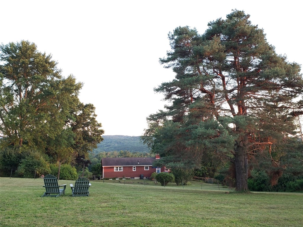 527 Strong Road Owego, NY 13827 - Photo 40 of 43