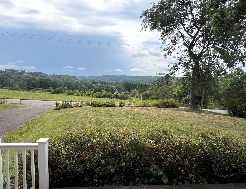 527 Strong Road Owego, NY 13827 - Photo 5 of 43