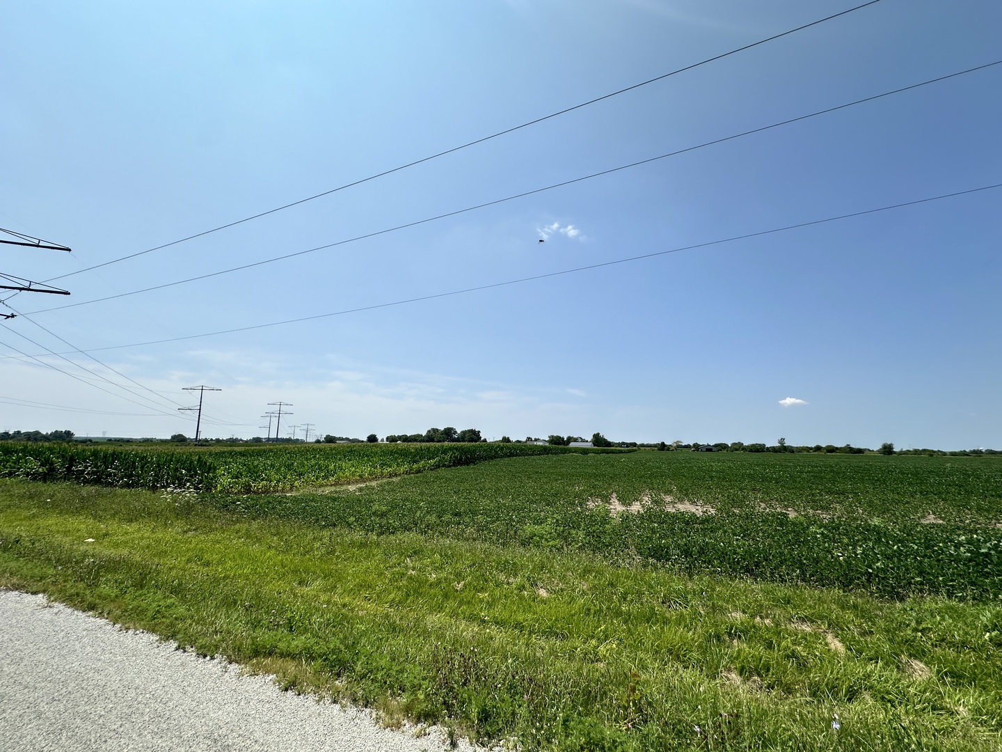 1 Schoolhouse/haley Road Manhattan, IL 60442 - Photo 11 of 15 a view of a green field