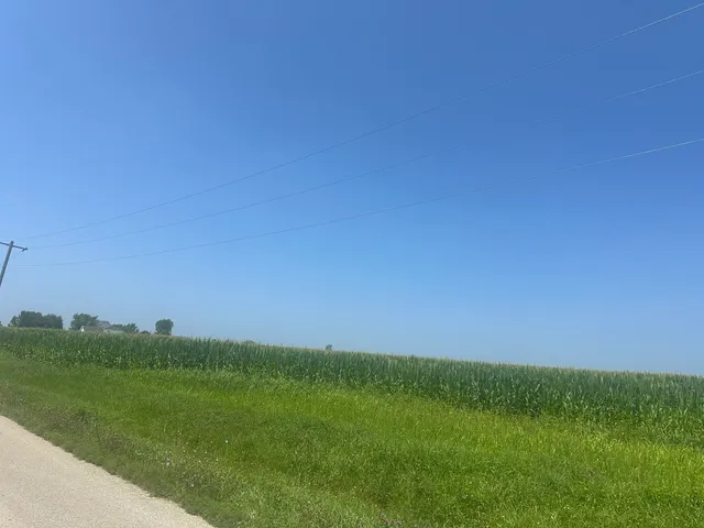 a picture of a field